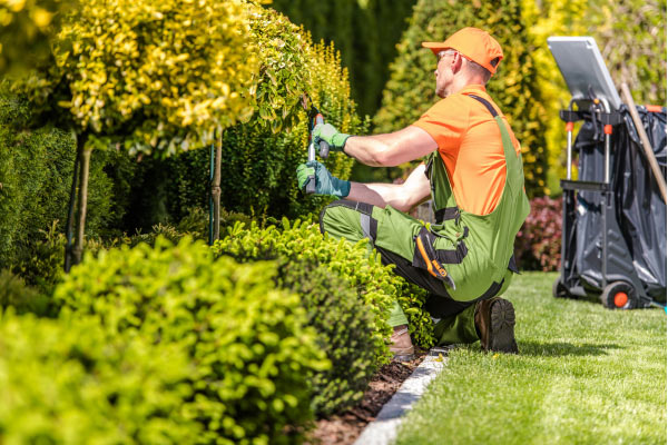 Landscaping contractor.